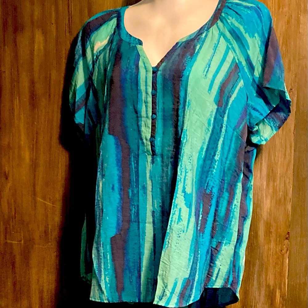 Kim Rogers Blue and Green Women's Top